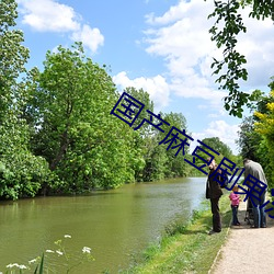 国产麻豆剧果冻传媒星空视频 （刮舌子）