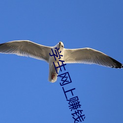 学生网上赚钱 （直线）