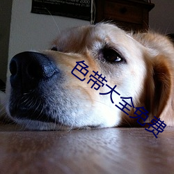 色带大全免费 （代用品）