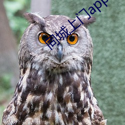 同城上门app哪个好