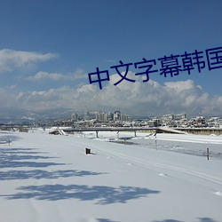 中文字幕韩国电影