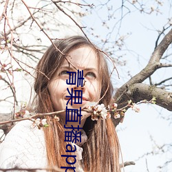 青果直播app下载