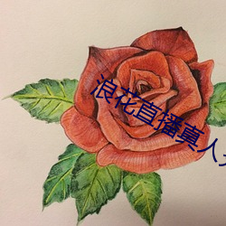 浪花直播真人秀