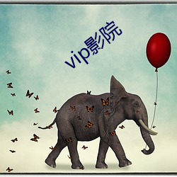 vip影(影)院