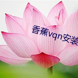 香(xiāng)蕉(jiāo)vqn装置包