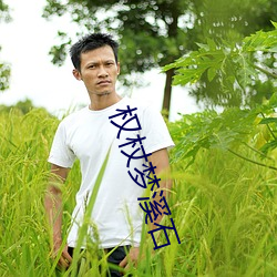 欧博abg - 官方网址登录入口