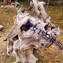 美女15分钟叫床声视频