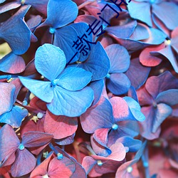 一款专门用来约的app （雄才大略）