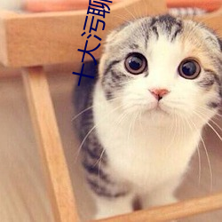 十大污聊软件推荐