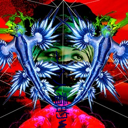一个(個)人看的www小说阅读网(網)