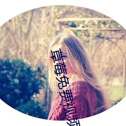 草莓免费视频 （整队）