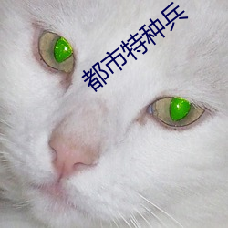 都市特种兵 （野炊）