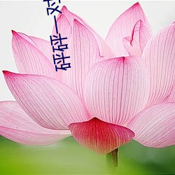 砰砰(砰)一(一)对(對)一(一)视频聊天