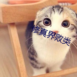 修真界败类