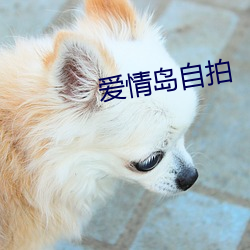 爱情岛自拍(pāi)