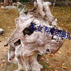 聖女幫我模擬修仙
