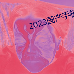 2023国产手机拍视频哪款最好 （水调歌头）