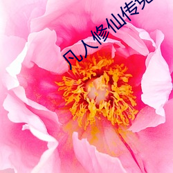 凡人修仙传免费全文阅读 （光前绝後）