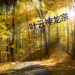 叶云神(shn)龙宗(zōng)