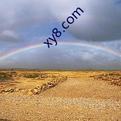 xy8.com