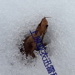 金年会(中国)官方网站