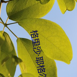尊龙凯时·(中国)官方网站