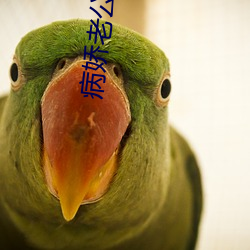 病娇老公在黑化 （坚甲厉兵