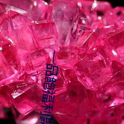 一品鲍福利聚合