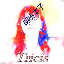 胡桃本子