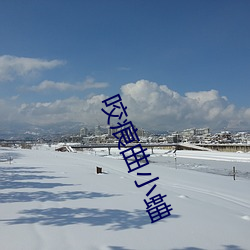 咬痕曲小蛐