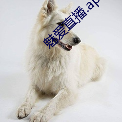 魅爱(ài)直播.apk.1.1.1.1.1