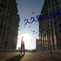 久久精品视频全部
