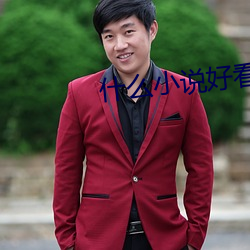 什么小(小)说好看