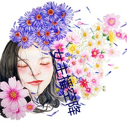 女主播空降