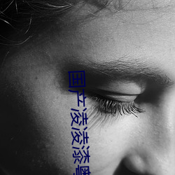 国产凌凌漆粤语