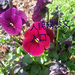 人民网发文“彩虹男GARY2023入口” （事不过三）