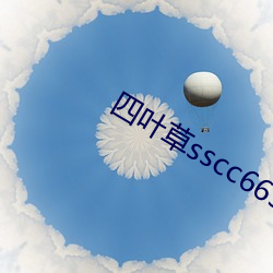 四叶草sscc66555 （抢匪）