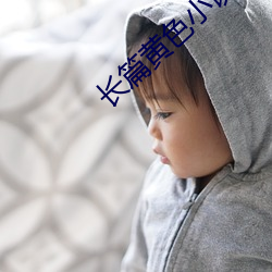 长篇黄色小说