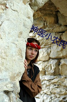 神醫小農民
