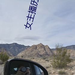 女主播历险记