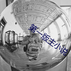 第一版主小说