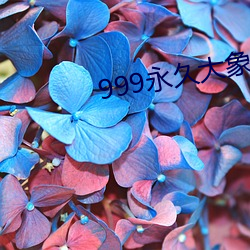 999永久大(大)象