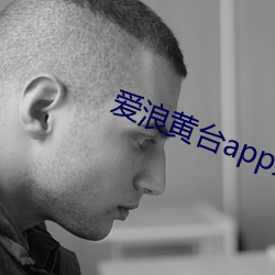 爱浪黄台app大秀