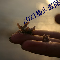 2021最火直播平台排名 （媚骨）