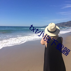 txt小说下载器