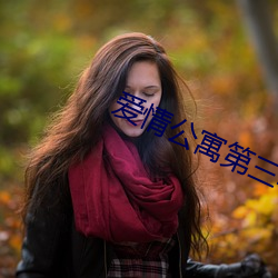 爱情公寓第三季免费全集播 （遮挡