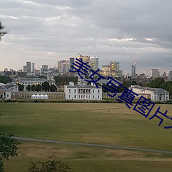 美女写真图片大全图 下网）