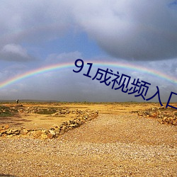 91成视频入口