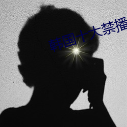韩国(國)十(十)大禁(禁)播电影