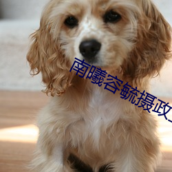南(南)曦容(容)毓摄(攝)政(政)王全文免费(費)阅(閱)读